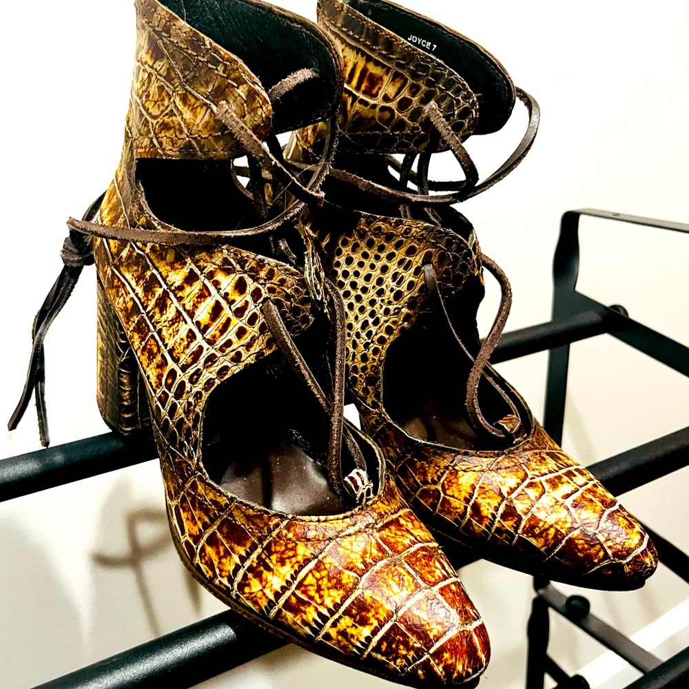 Freebird by Steven JOYCE (brown crocodile)